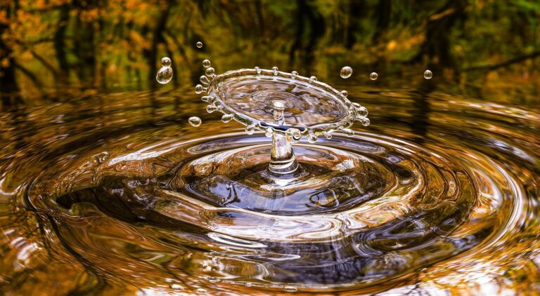 Anjou Sport Nature – Groupe Scolaire – découverte du milieu aquatique – activité pédagogique le cycle de l’eau et ses différents étapes de l’eau
